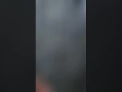 馬の飼料のフェンス