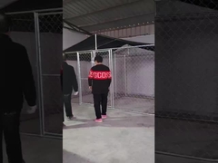 鋼製の犬飼育場