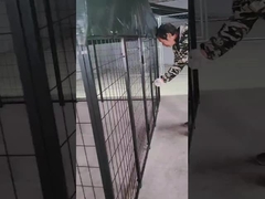 6フィート高さ 熱帯鋼犬犬犬犬犬犬犬犬犬犬犬犬