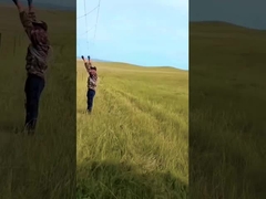 ホットディップガルバン化牛フェンスパネル 8 フィート高さ固定ノット鹿ワイヤ網フェンス