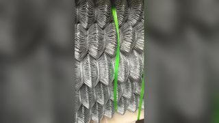 庭とセキュリティのための耐久性のある金網フェンス ソリューション