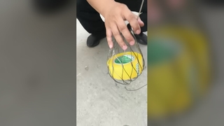ダイヤモンド動物園メッシュ強力なステンレス鋼ロープ