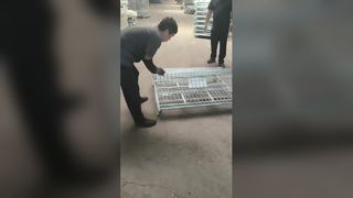 倉庫用の頑丈な折りたたみ式ワイヤーメッシュ保管ケージ