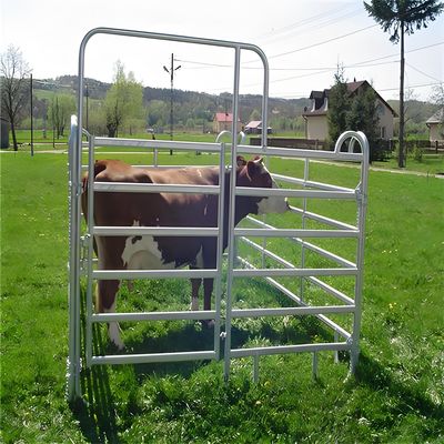 Galvanized Steel Horse Fence Panel 1.8x2.1m Heavy Duty Livestock Corral