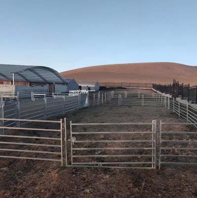 Galvanized Steel Horse Fence Panel 1.8x2.1m Heavy Duty Livestock Corral