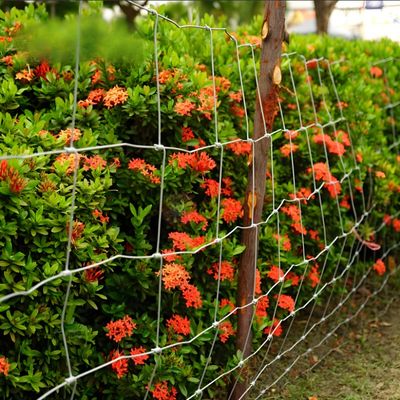 1.8MM 線材 溶融亜鉛メッキ 固定結び 南アフリカ 羊牧場フェンス 動物囲いフェンス用